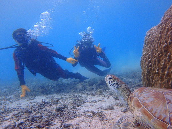 宮古島はウミガメの楽園♪体験ダイビングで夢のような海中世界へご案内！