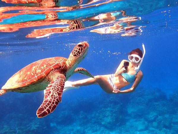 【那覇発】（半日）体験スキンダイビング＆ケラマクルージングツアー