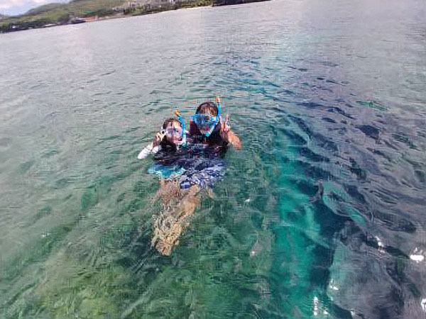 【美ら海水族館近く】シュノーケリング体験！西海岸の綺麗なサンゴ礁を探検しよう（4名～）
