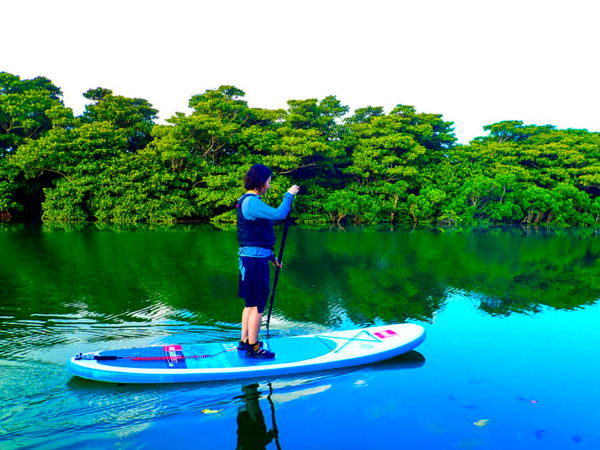 【石垣島/半日】初心者から経験者まで！天然記念物のマングローブで選べるSUPorカヌー体験ツアー【写真データ無料】