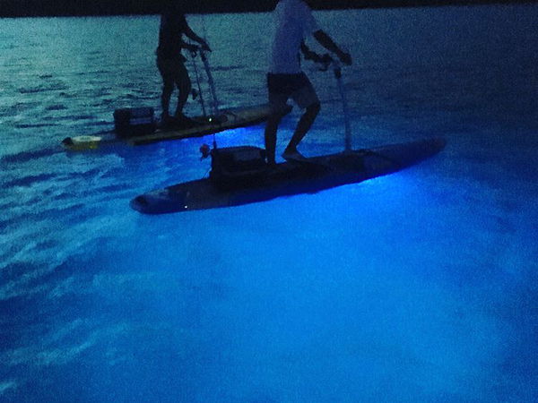 【宮古島】LEDで光るSUPペダルボートでサンセット＆トワイライトツアー♪【GoProレンタルあり】
