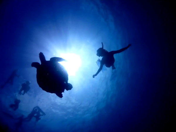 【石垣島】マンタorウミガメを探そう♪1DAYスキンダイビング＆体験ダイビング（2ダイブ）ツアー（ランチ付）♪GoProレンタル有り