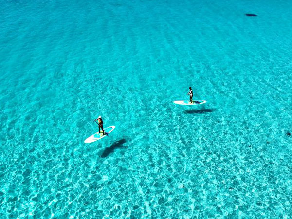 写真は無制限プレゼント