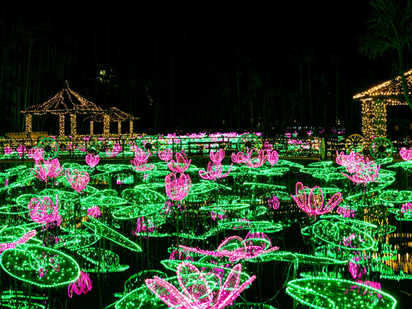 【那覇発】ホエールウォッチングツアー＋東南植物楽園入園券付き♪（那覇市内送迎あり）