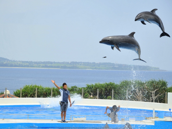 海洋博公園・沖縄美ら海水族館