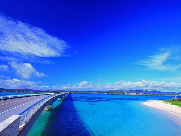 10月出発～<海to森>やんばる国立公園の大自然を体感！／【那覇発観光バスツアー（C）】神秘のアスムイハイクスと絶景 辺戸岬・古宇利島・大宜味シークヮーサーパーク