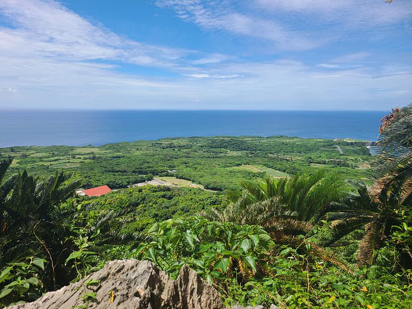 10月出発～<海to森>やんばる国立公園の大自然を体感！／【那覇発観光バスツアー（C）】神秘のアスムイハイクスと絶景 辺戸岬・古宇利島・大宜味シークヮーサーパーク