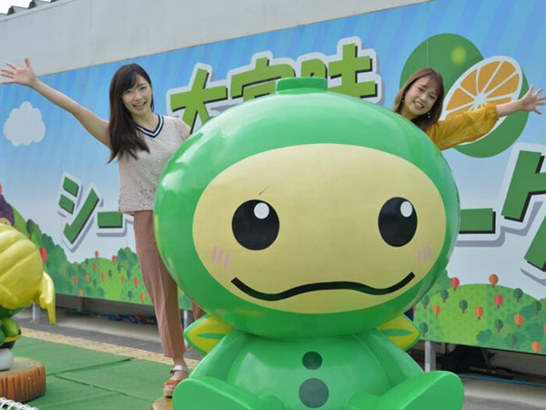 10月出発～<海to森>やんばる国立公園の大自然を体感！／【那覇発観光バスツアー（C）】神秘のアスムイハイクスと絶景 辺戸岬・古宇利島・大宜味シークヮーサーパーク