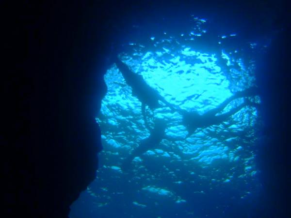 青の洞窟シュノーケリング＆キッズ体験ダイビング