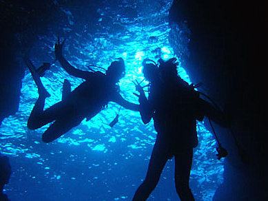 人気のマーメイド体験＆青の洞窟体験ダイビング