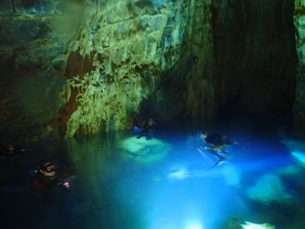 【冬季限定】ホエールウォッチング＆青の洞窟体験ダイビング