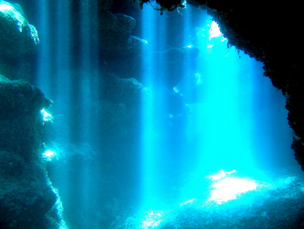 国立公園ケラマ諸島「光の洞窟指定」体験ダイビング+スノーケリング 1月～3月はホエールウォッチング付き【那覇市内送迎可】